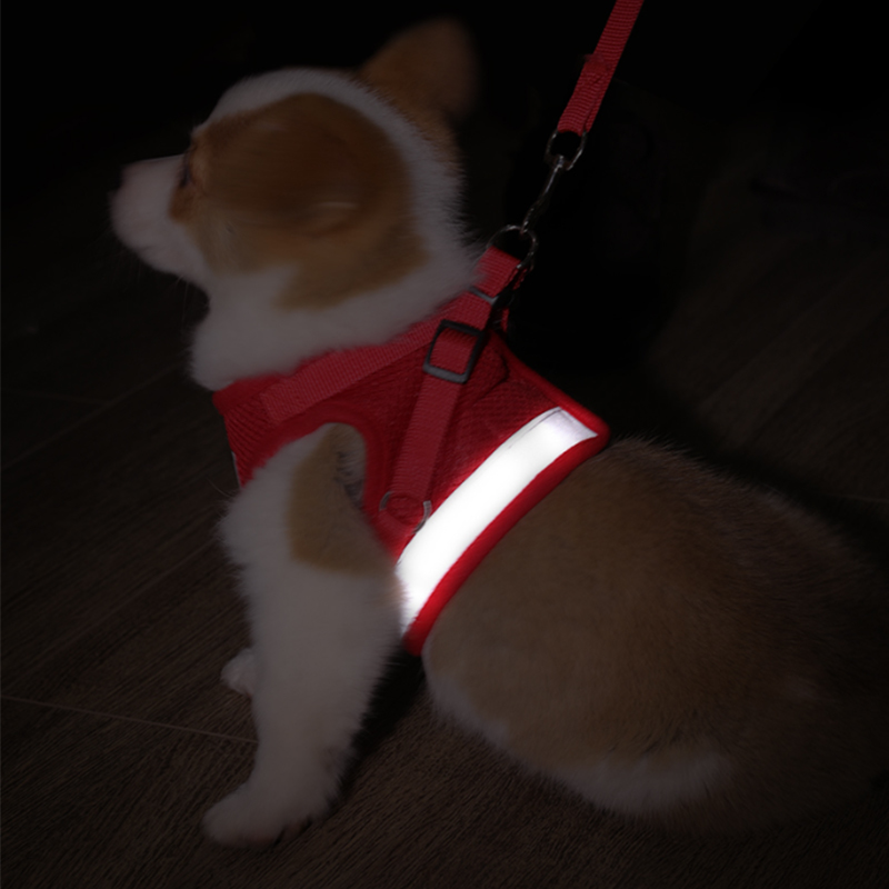 Reinforced medium and large pet leash